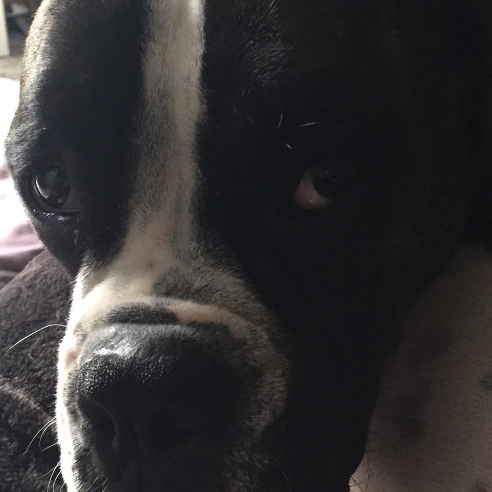 Meet your Posher, Riley
